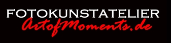 artofmoments.de